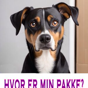 Forsendelse m DAO brev.